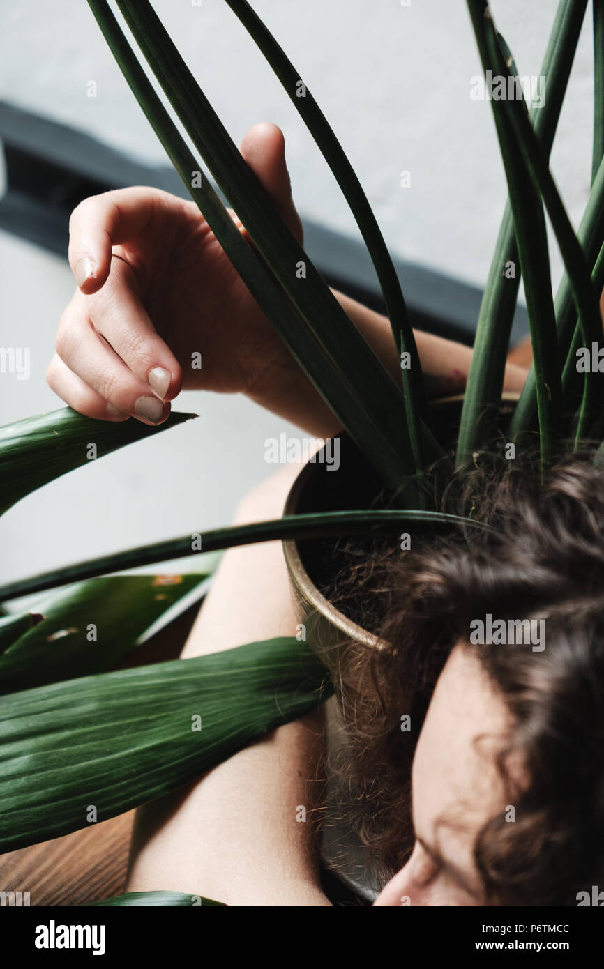 Belle jeune fille brune avec une plante en pot Banque D'Images
