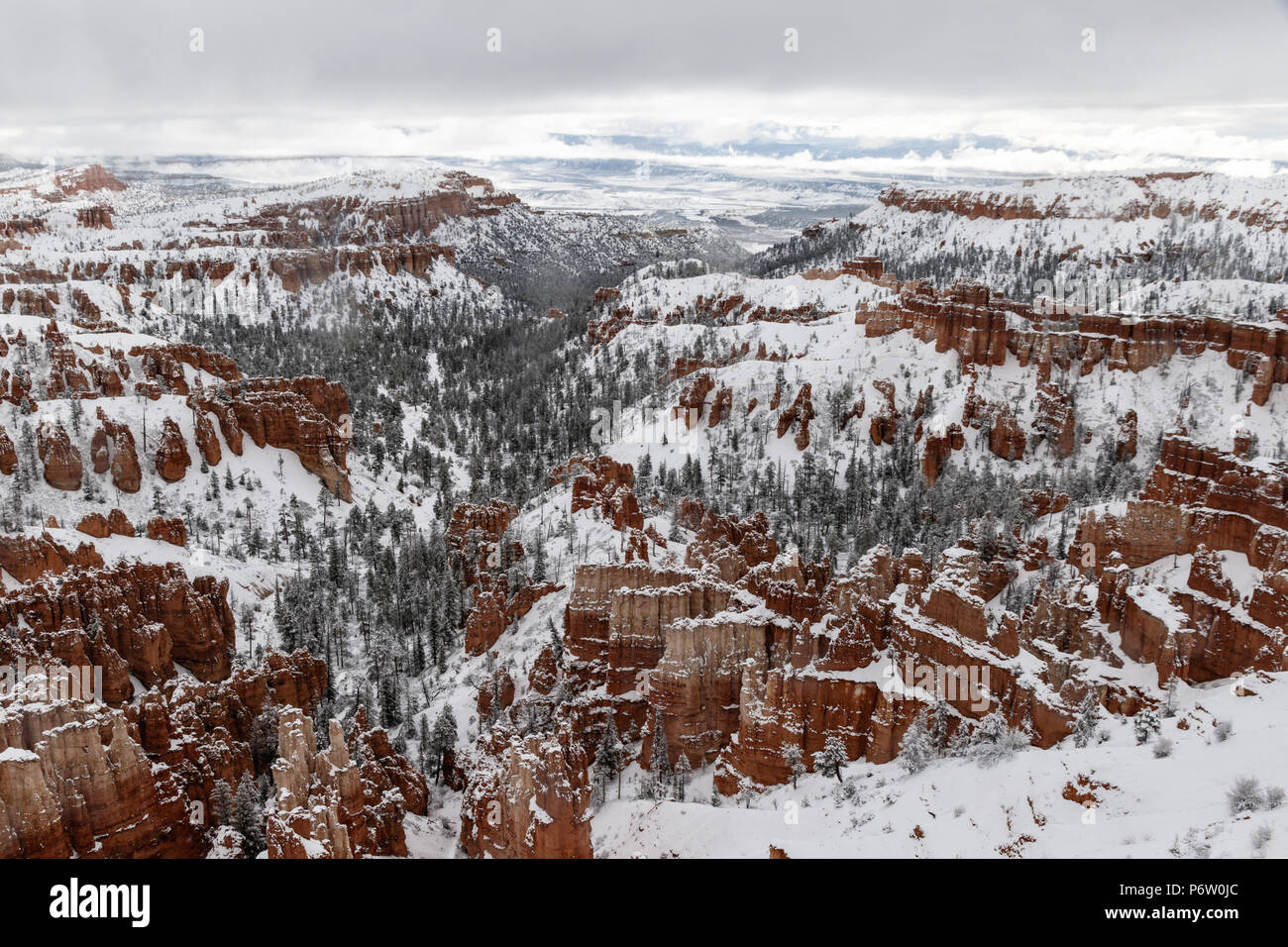 Vue panoramique dans le Parc National de Bryce Canyon, pendant une tempête. Cheminées, arbres et canyon sont tous couverts par la neige, la tempête est toujours au-dessus. Banque D'Images