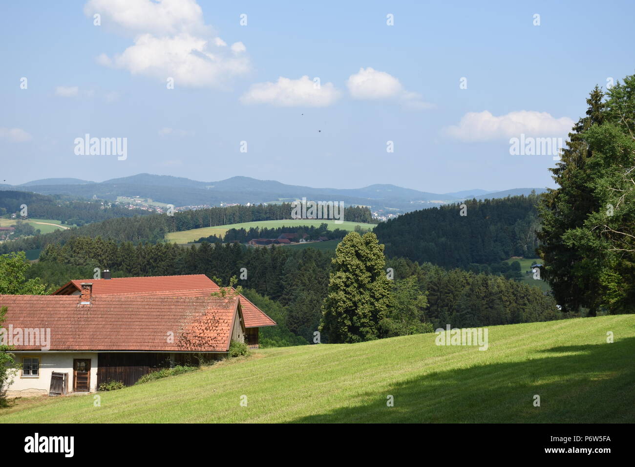 Im Landkreis Cham'Oberpfalz Bayerischer Wald Banque D'Images