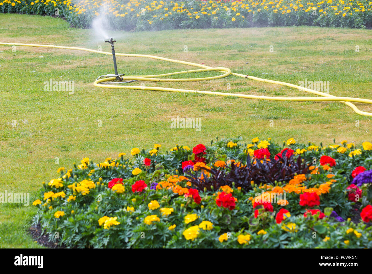 Bournemouth, Dorset, UK. 3e juillet 2018. Météo France : hazy sunshine, mais encore chaud et avec une agréable brise fraîche. Jardins de Bournemouth pulvérisée pour garder les fleurs et l'herbe à la végétation pour les visiteurs, que les menaces de lances d'interdictions dans certaines parties du pays que the heatwave continue. Credit : Carolyn Jenkins/Alamy Live News Banque D'Images