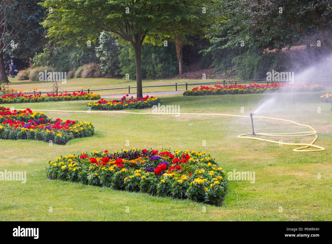Bournemouth, Dorset, UK. 3e juillet 2018. Météo France : hazy sunshine, mais encore chaud et avec une agréable brise fraîche. Jardins de Bournemouth pulvérisée pour garder les fleurs et l'herbe à la végétation pour les visiteurs, que les menaces de lances d'interdictions dans certaines parties du pays que the heatwave continue. Credit : Carolyn Jenkins/Alamy Live News Banque D'Images