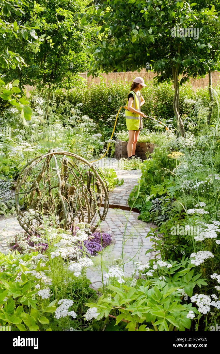 Londres, Royaume-Uni. 2nd-8th July 2018. RHS Hampton Court Flower Show - La santé et le bien-être le jardin. Arroser tôt le matin, la signature de cette année, le RHS Hampton Court Flower Show, avec des températures atteignant environ 35° C. Jardin Designer : Alexandra Noble Banque D'Images