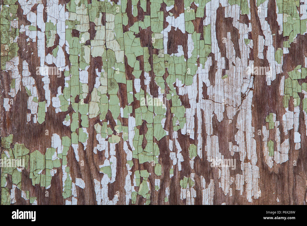 La texture de surface de meubles anciens en bois avec de la peinture verte, grattés fissurée. Banque D'Images