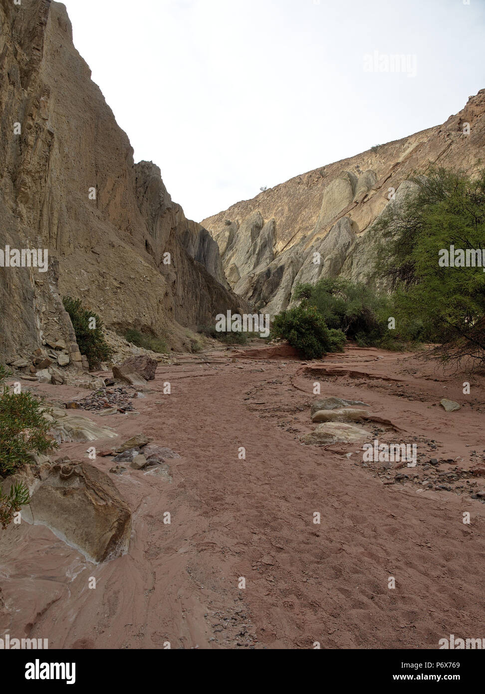 Rainbow Canyon dans le Parc national Talampaya, situé dans la province de La Rioja, en Argentine. Ce parc a été désigné site du patrimoine mondial de l'UNESCO en 2000. Banque D'Images