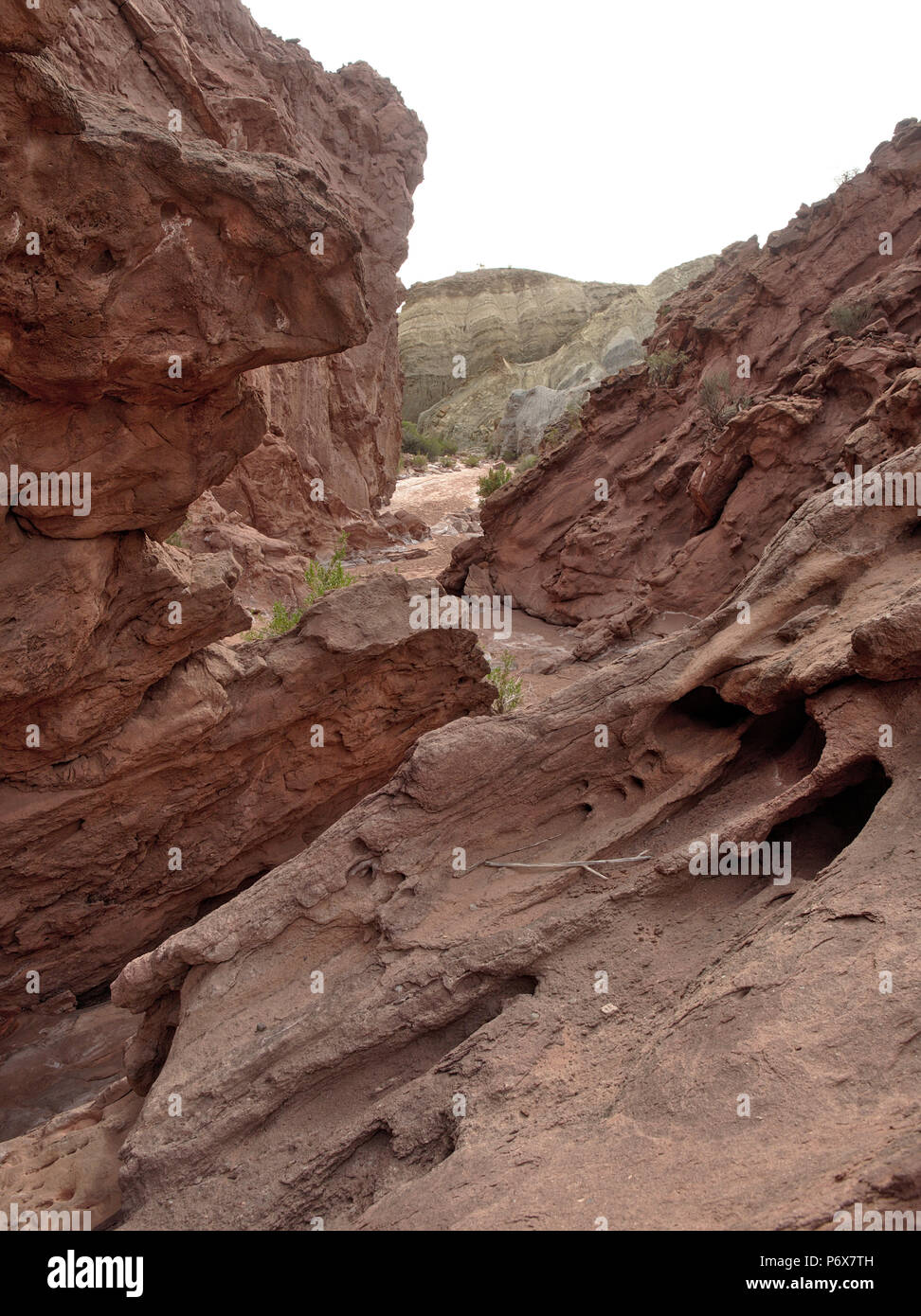 Rainbow Canyon dans le Parc national Talampaya, situé dans la province de La Rioja, en Argentine. Ce parc a été désigné site du patrimoine mondial de l'UNESCO en 2000. Banque D'Images