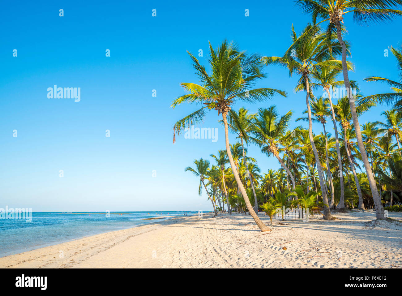 La plage de Cabeza de Toro, Punta Cana, République dominicaine. Banque D'Images