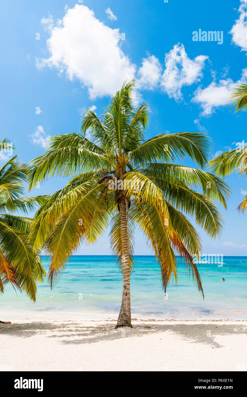 Juan Mano, l'île de Saona, à l'Est Parc National (Parque Nacional del Este), la République dominicaine, la mer des Caraïbes. Banque D'Images