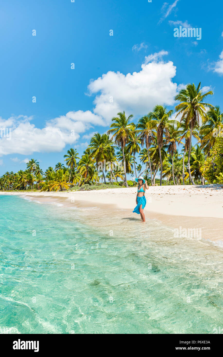 Canto de la Playa, l'île de Saona, à l'Est Parc National (Parque Nacional del Este), la République dominicaine, la mer des Caraïbes. Belle femme sur une plage bordée de palmiers (MR). Banque D'Images