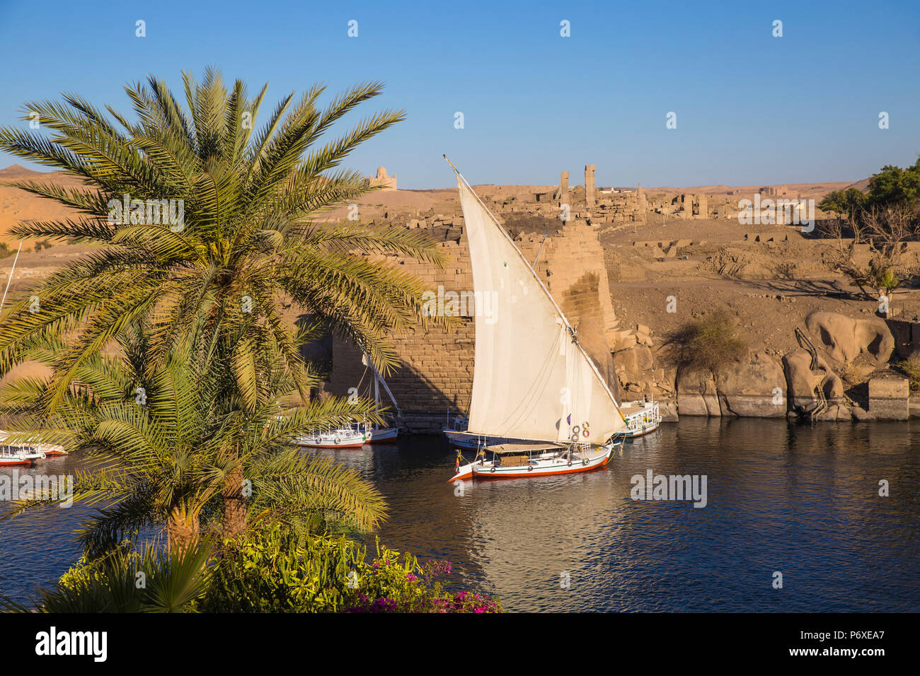 L'Égypte, de la Haute Égypte, Assouan, vue vers l'île Eléphantine Khnoum ruines sur des jardins au Sofitel Legend Old Cataract hotel situé sur les rives du Nil Banque D'Images