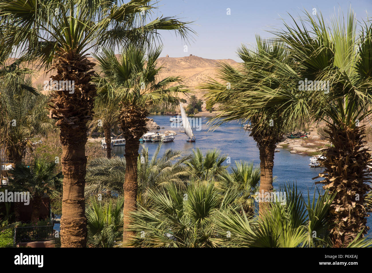 L'Égypte, de la Haute Égypte, Assouan, jardins à l'Sofitel Legend Old Cataract hotel situé sur les rives du Nil Banque D'Images