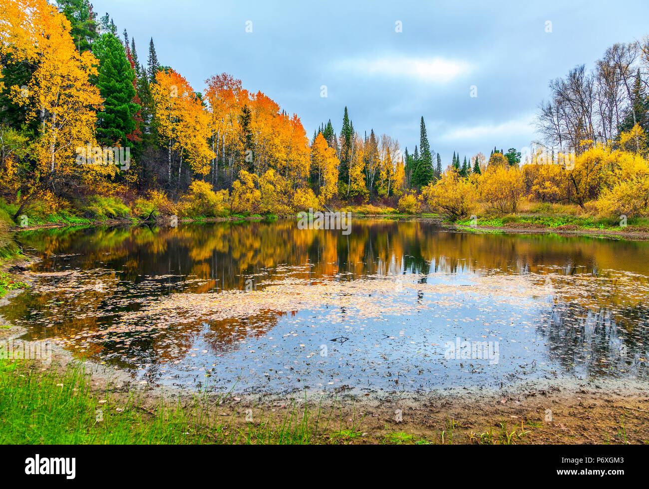 L'automne dans l'ouest de la Sibérie. Banque D'Images