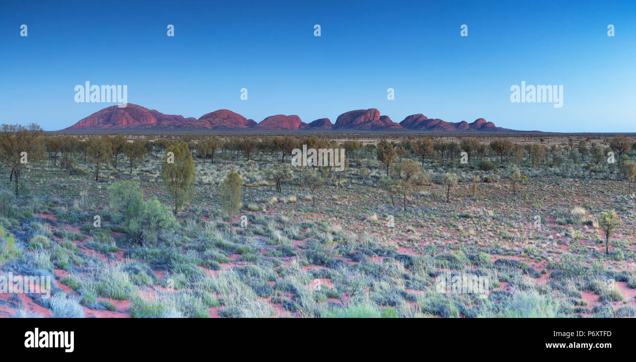 Kata Tjuta / les Olgas (Site du patrimoine mondial de l'UNESCO), Parc National d'Uluru-Kata Tjuta, Territoire du Nord, Australie Banque D'Images