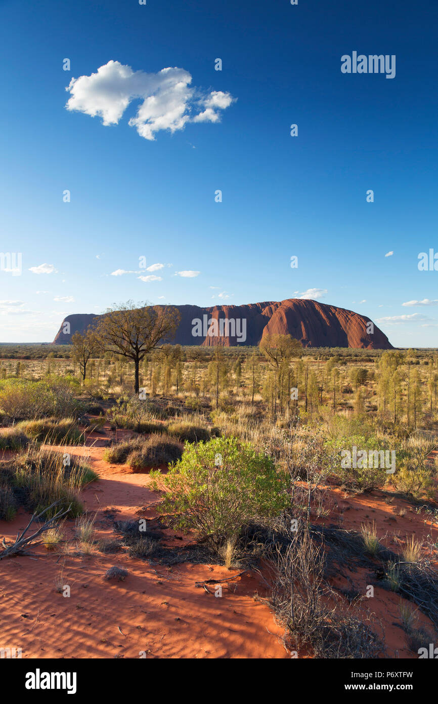 Uluru (Site du patrimoine mondial de l'UNESCO), Parc National d'Uluru-Kata Tjuta, Territoire du Nord, Australie Banque D'Images