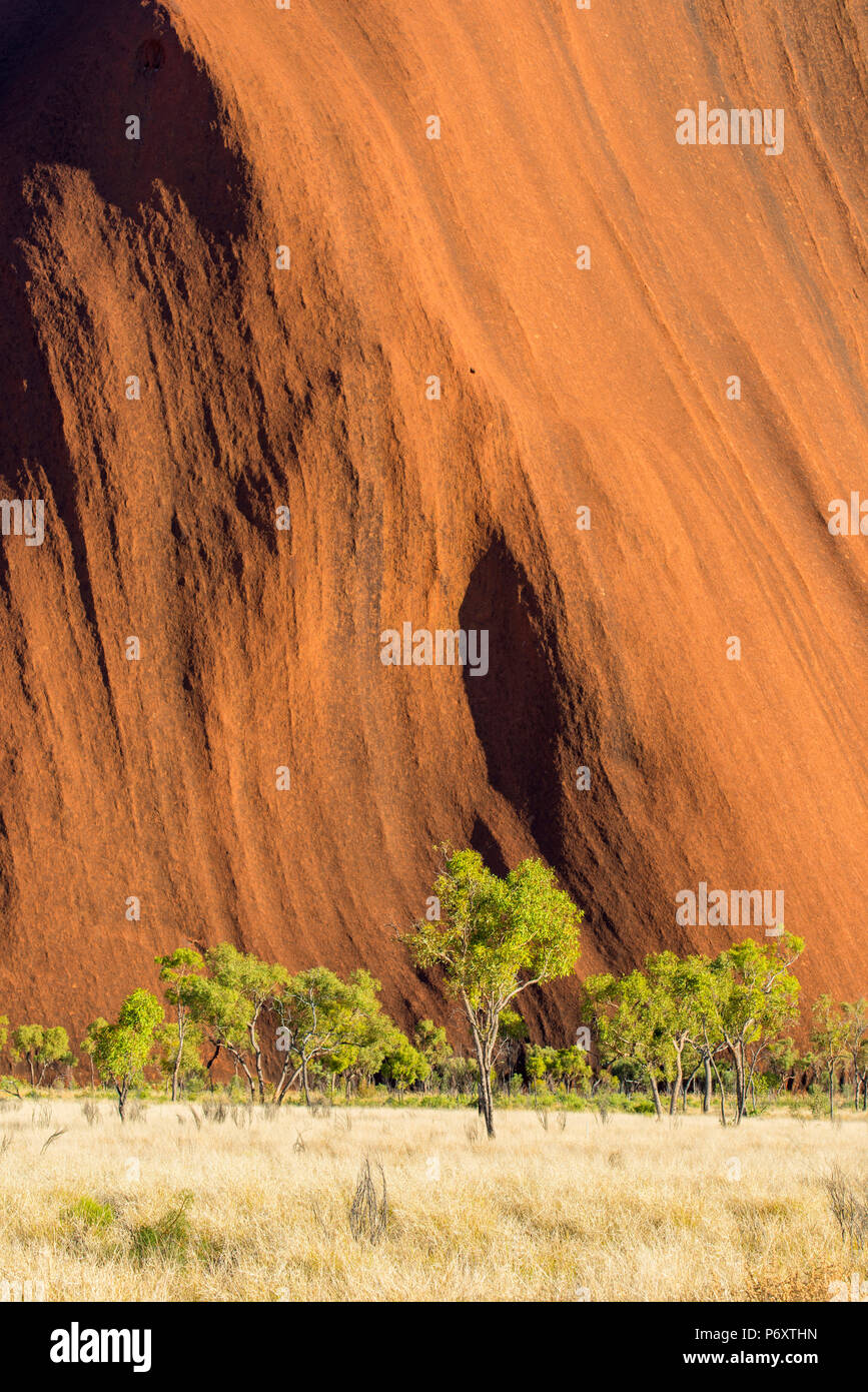 Uluru (Ayers Rock), le Parc National d'Uluru-Kata Tjuta, Territoire du Nord, Centre de l'Australie, l'Australie. Banque D'Images