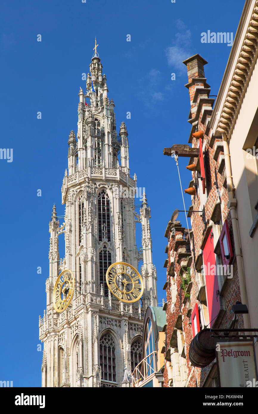 -Cathédrale Onze-Lieve Vrouwe, Anvers, Flandre orientale, Belgique Banque D'Images