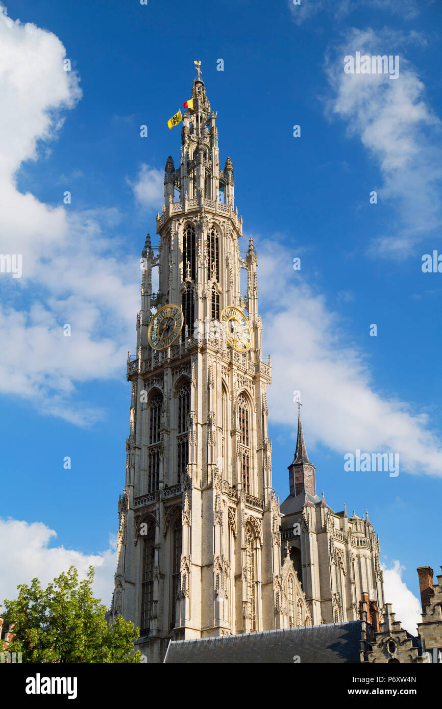 Onze-Lieve-Vrouwe Cathédrale, Anvers, Flandre orientale, Belgique Banque D'Images