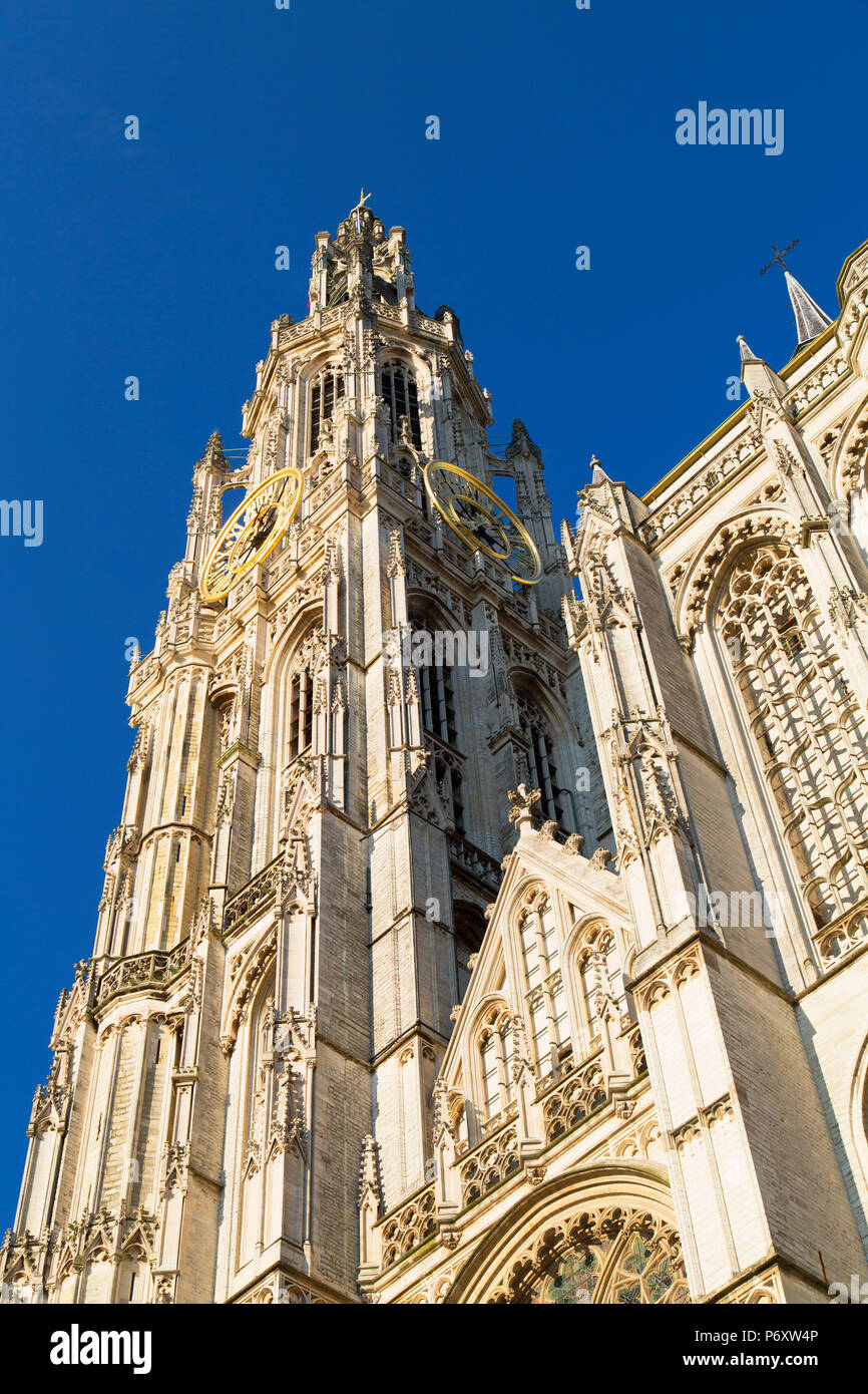 Onze-Lieve-Vrouwe Cathédrale, Anvers, Flandre orientale, Belgique Banque D'Images