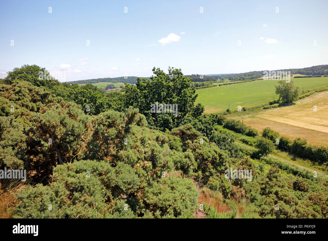 Une vue de vers Glandford Wiveton Downs en Amérique du Norfolk à Wiveton, Norfolk, Angleterre, Royaume-Uni, Europe. Banque D'Images