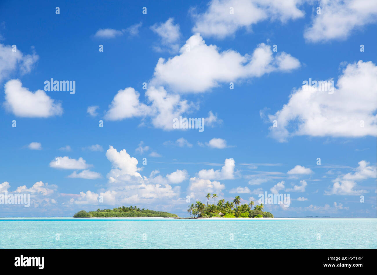 Tropical Island, South Male Atoll, Maldives, Atoll de Kaafu Banque D'Images