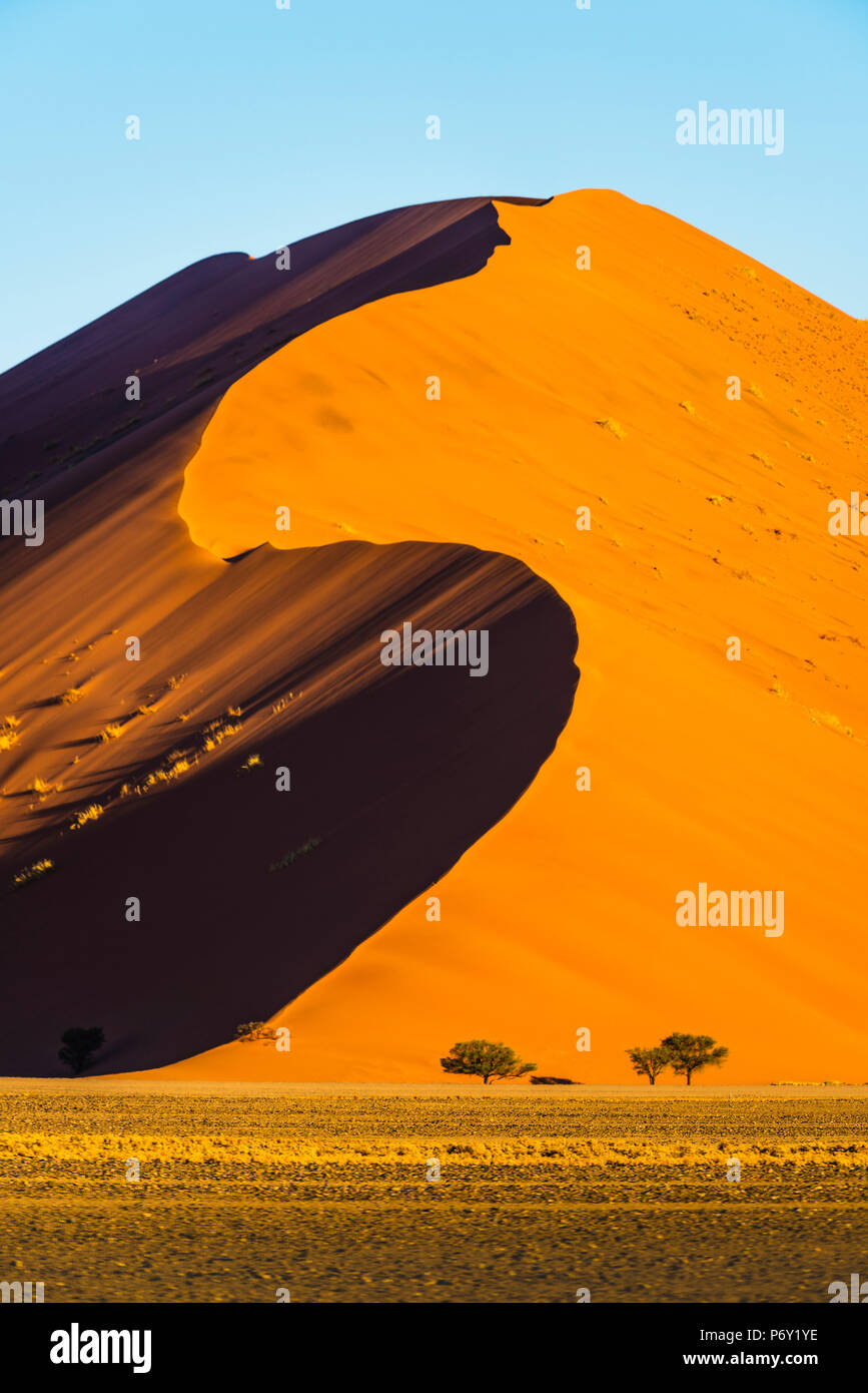 Sossusvlei, Namib-Naukluft National Park, Namibie, Afrique. Dunes de sable géantes. Banque D'Images