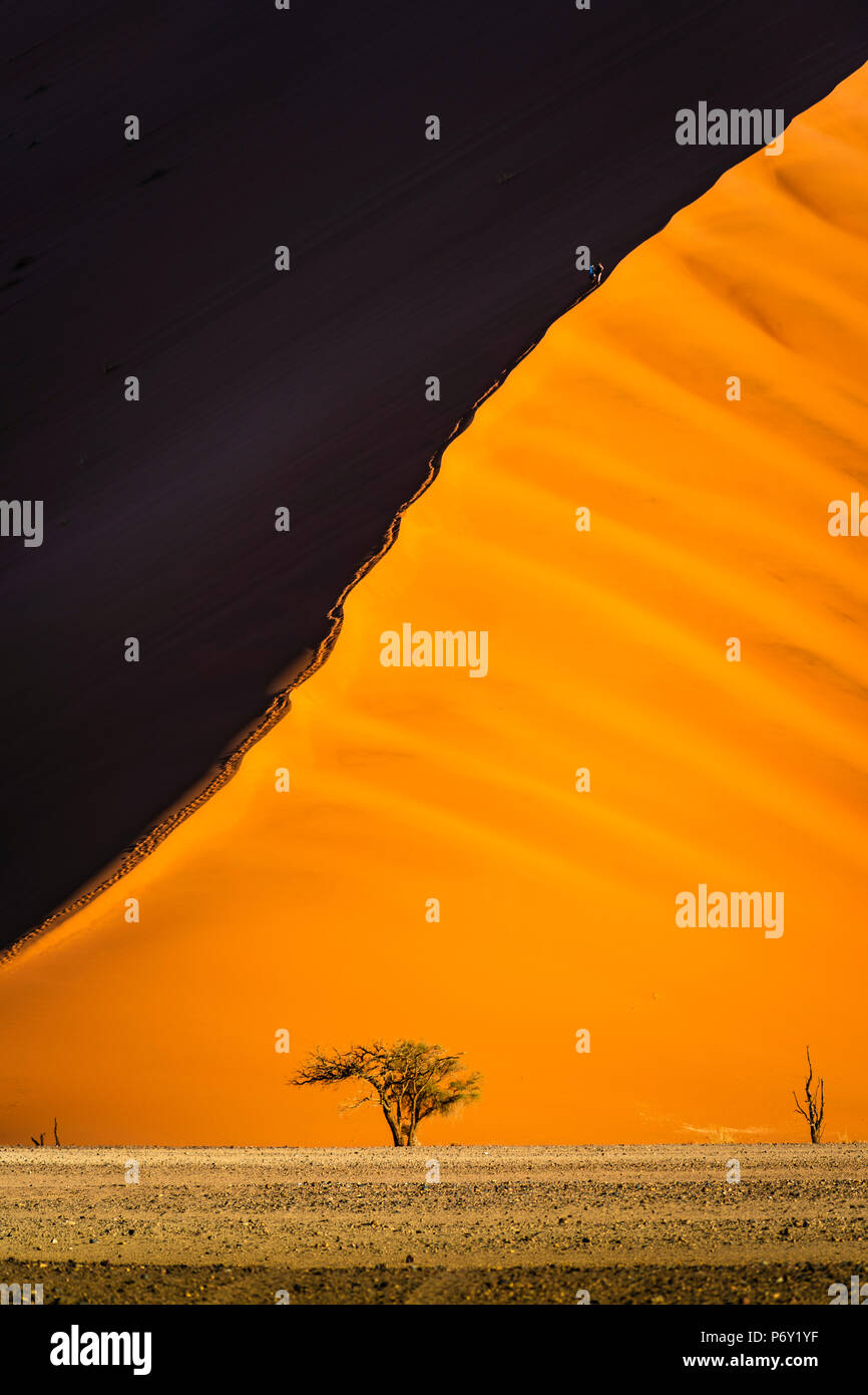 Sossusvlei, Namib-Naukluft National Park, Namibie, Afrique. Dunes de sable géantes. Banque D'Images