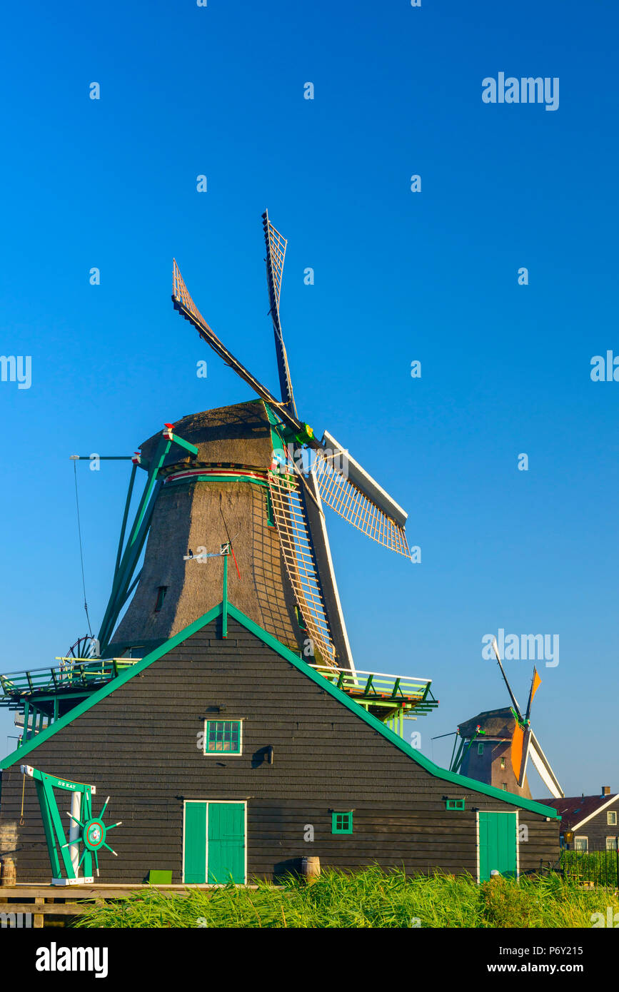 Pays Bas, Hollande du Nord, Zaandam, Zaanse Schans, le chat (de Kat) Dyemill Banque D'Images