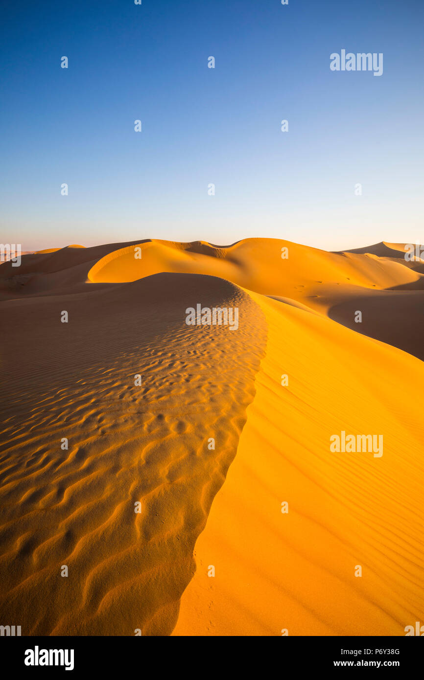 Quartier Vide (Rub Al Khali), Abu Dhabi, Émirats Arabes Unis Banque D'Images