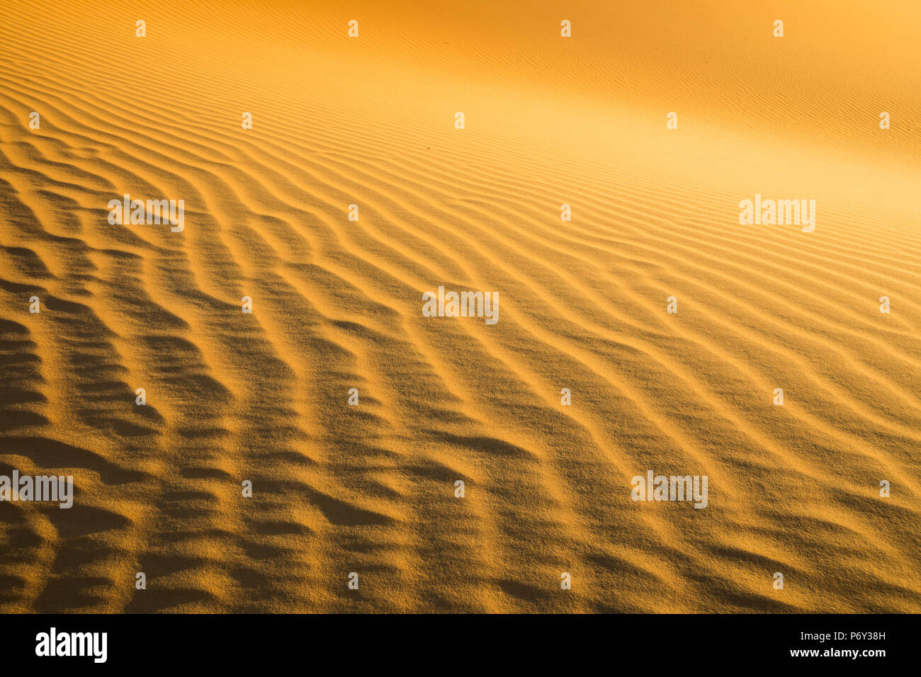 Quartier Vide (Rub Al Khali), Abu Dhabi, Émirats Arabes Unis Banque D'Images