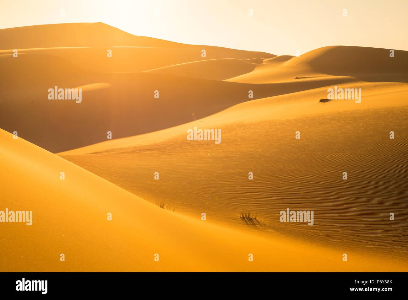 Quartier Vide (Rub Al Khali), Abu Dhabi, Émirats Arabes Unis Banque D'Images