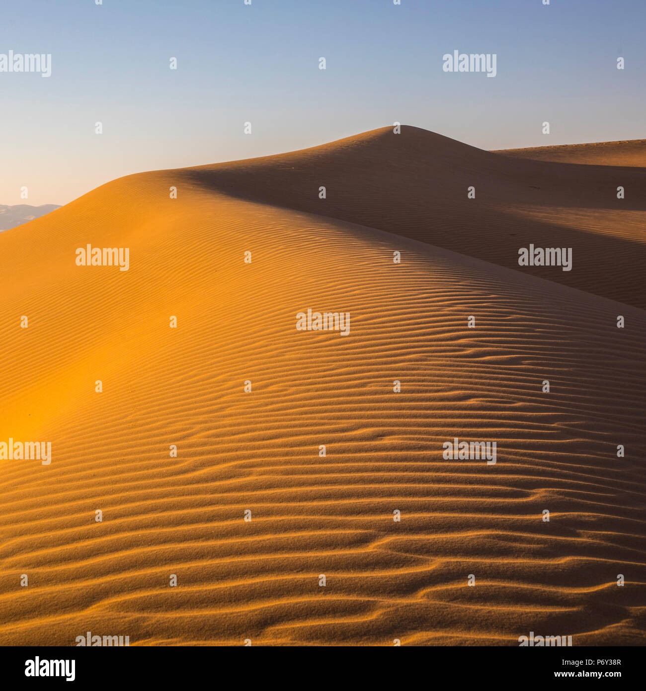 Quartier Vide (Rub Al Khali), Abu Dhabi, Émirats Arabes Unis Banque D'Images