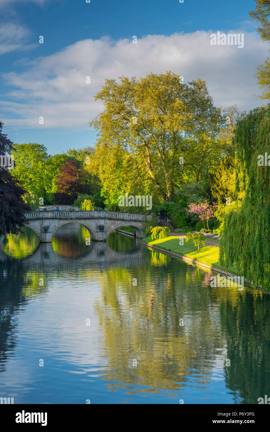 Royaume-uni, Angleterre, Cambridge, Cambridgeshire, le dos, rivière Cam Banque D'Images