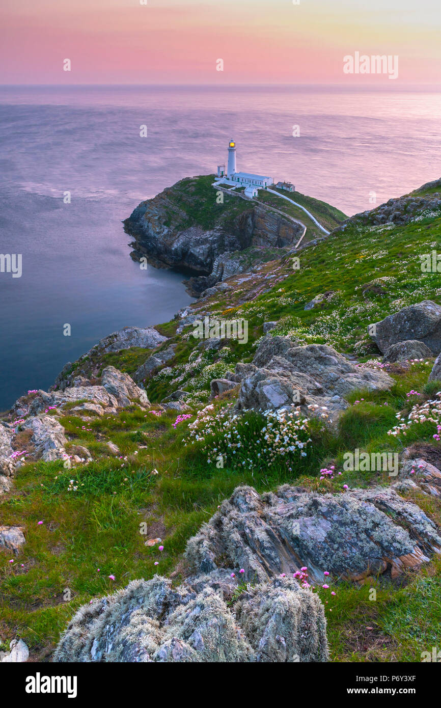 Royaume-uni, Pays de Galles, Anglesey, Holy Island, phare de South Stack Banque D'Images