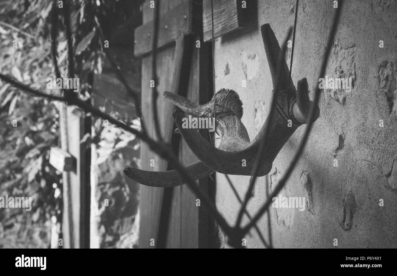 Des ornements sur un mur en france Banque D'Images