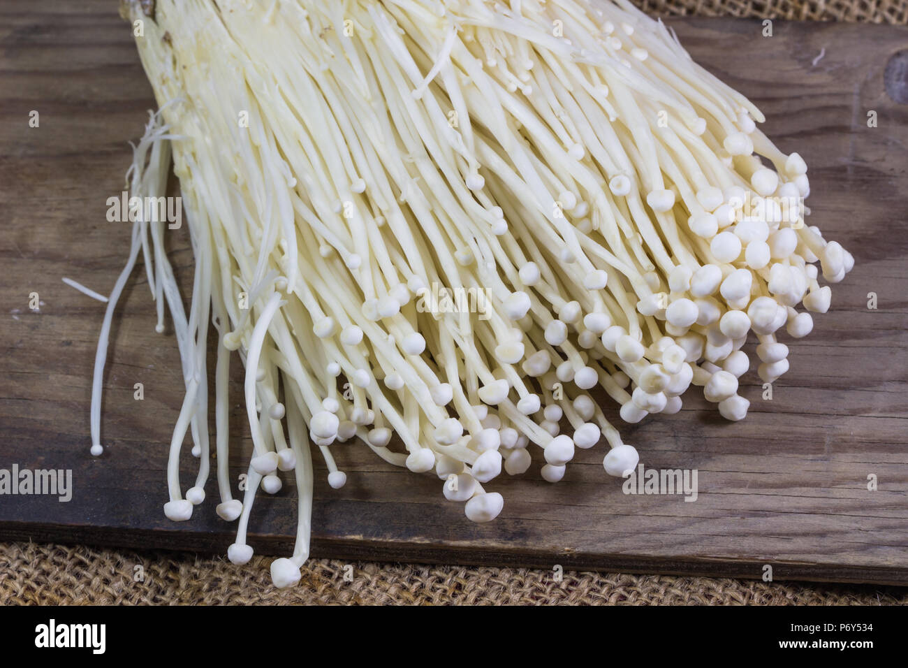 Champignons Enoki, aiguille d'or en frais de champignons pépinière arrière-plan. Banque D'Images