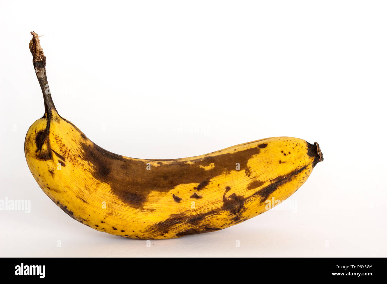 Banane pourrie / Old / banane banane écorce pourriture brune / Les fruits pourris sur fond blanc / contrôle du poids de fruits Banque D'Images