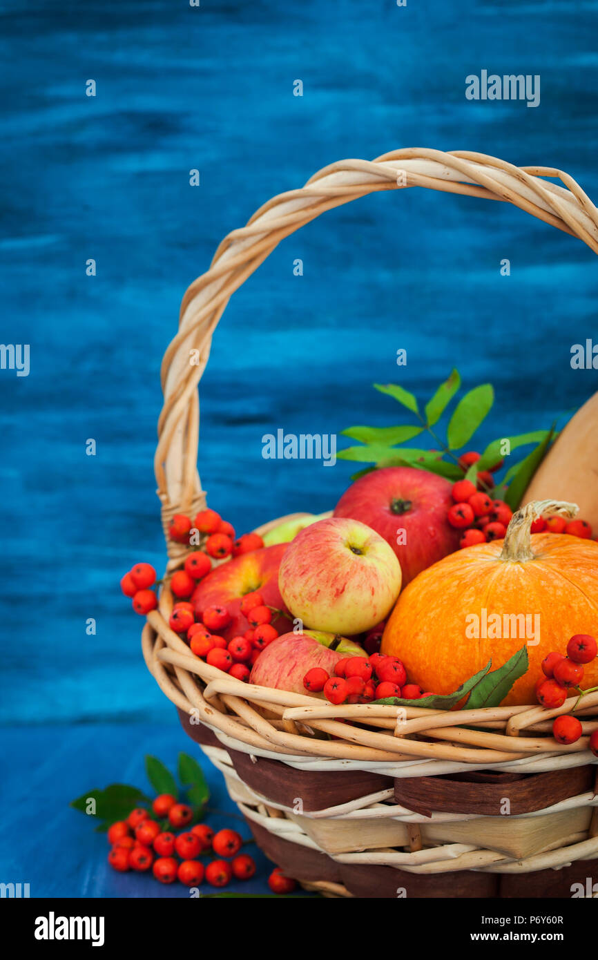 La vie encore d'automne avec des citrouilles, pommes et sorbe dans un panier bleu sur fond de bois Banque D'Images