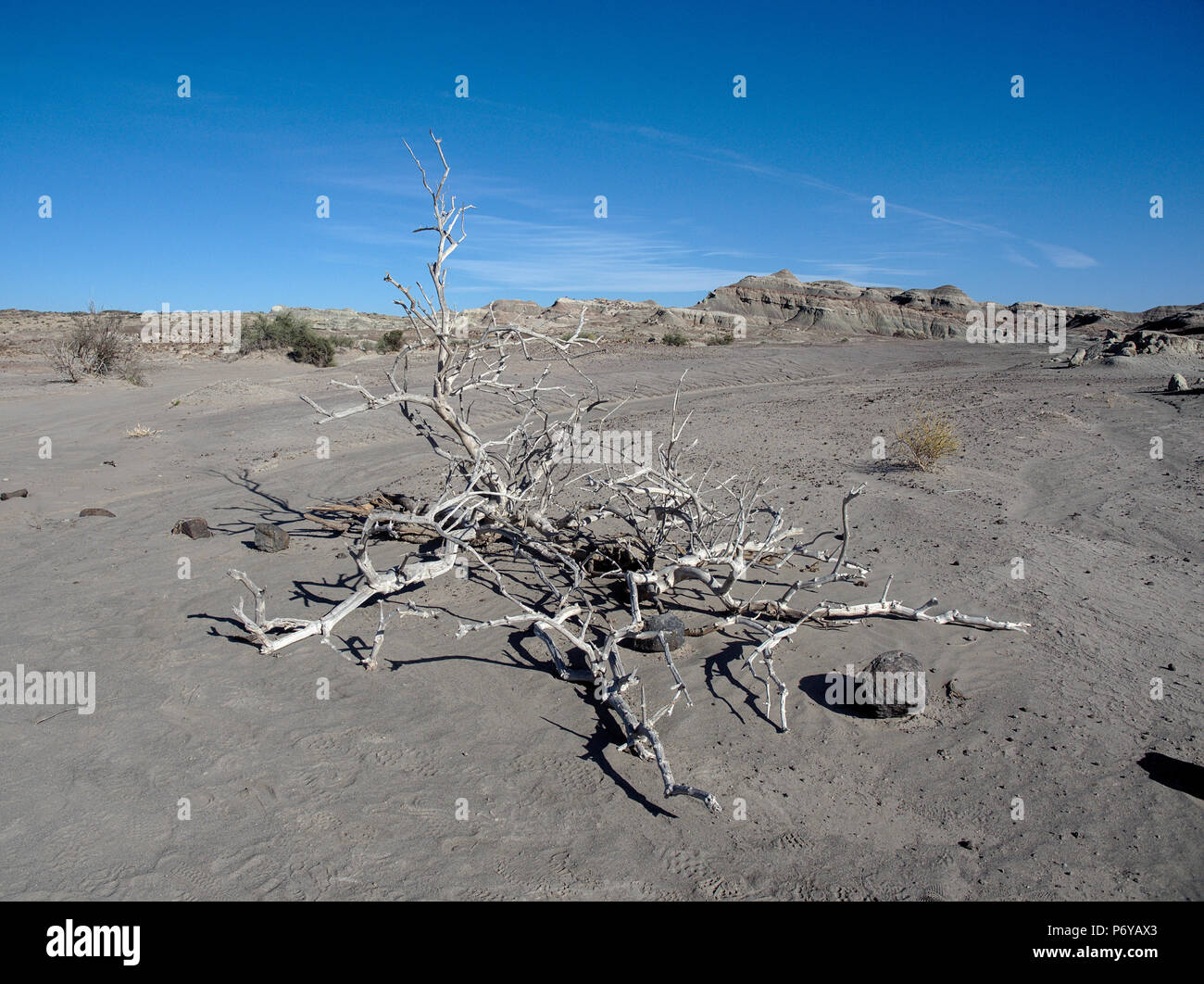Le Parc Provincial Ischigualasto, San Juan, Argentine Banque D'Images