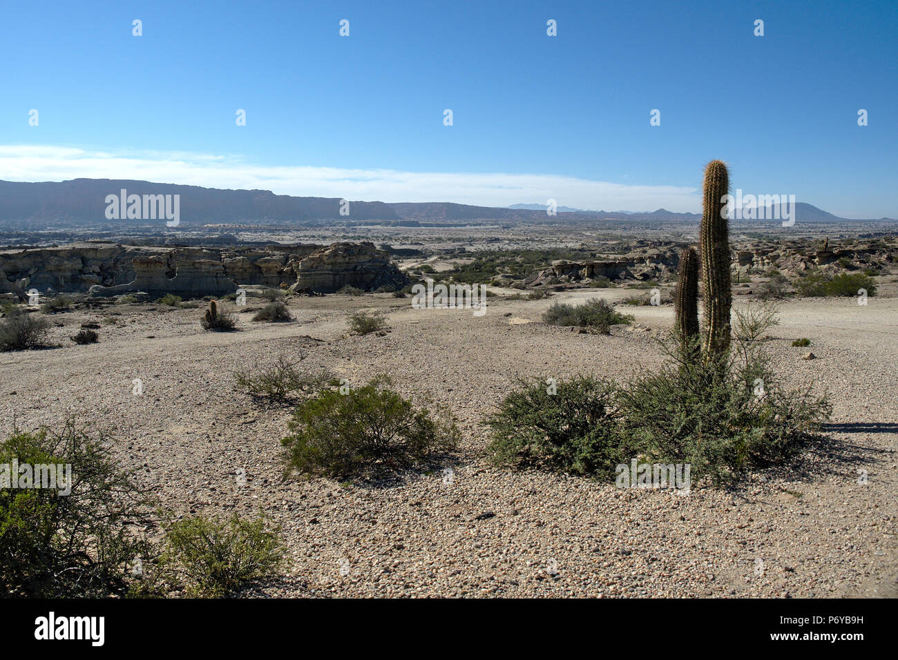 Le Parc Provincial Ischigualasto, San Juan, Argentine Banque D'Images