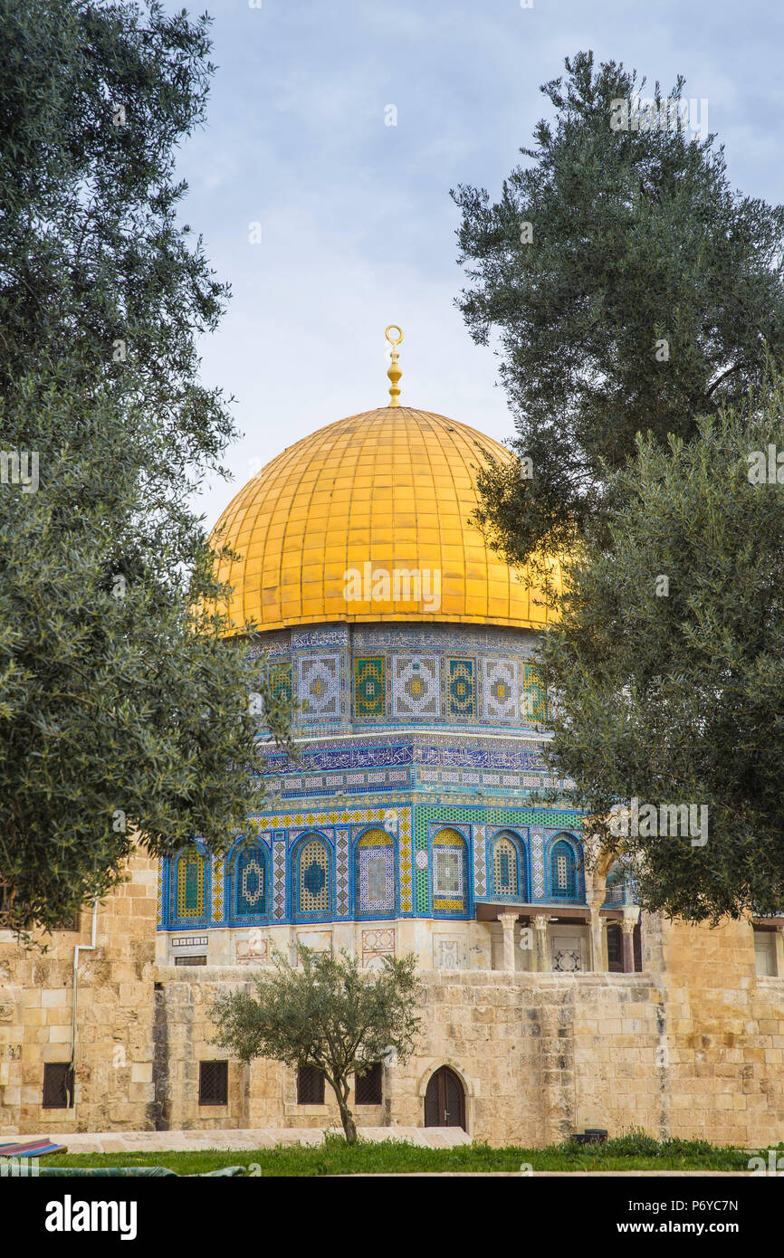 Israël, Jérusalem, le Mont du Temple, Dôme du Rocher Banque D'Images