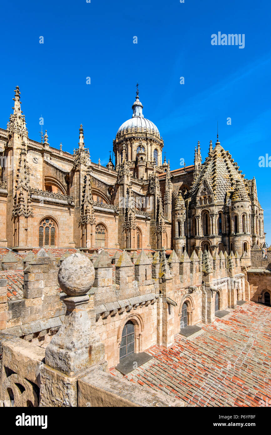 Ancienne Cathédrale, Salamanque, Castille et Leon, Espagne Banque D'Images