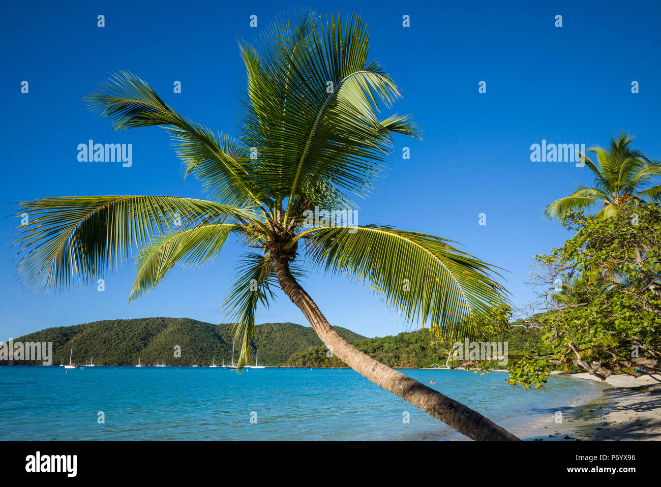 Les Îles Vierges des États-Unis, de Saint John, de Trunk Bay, Trunk Bay Beach Banque D'Images