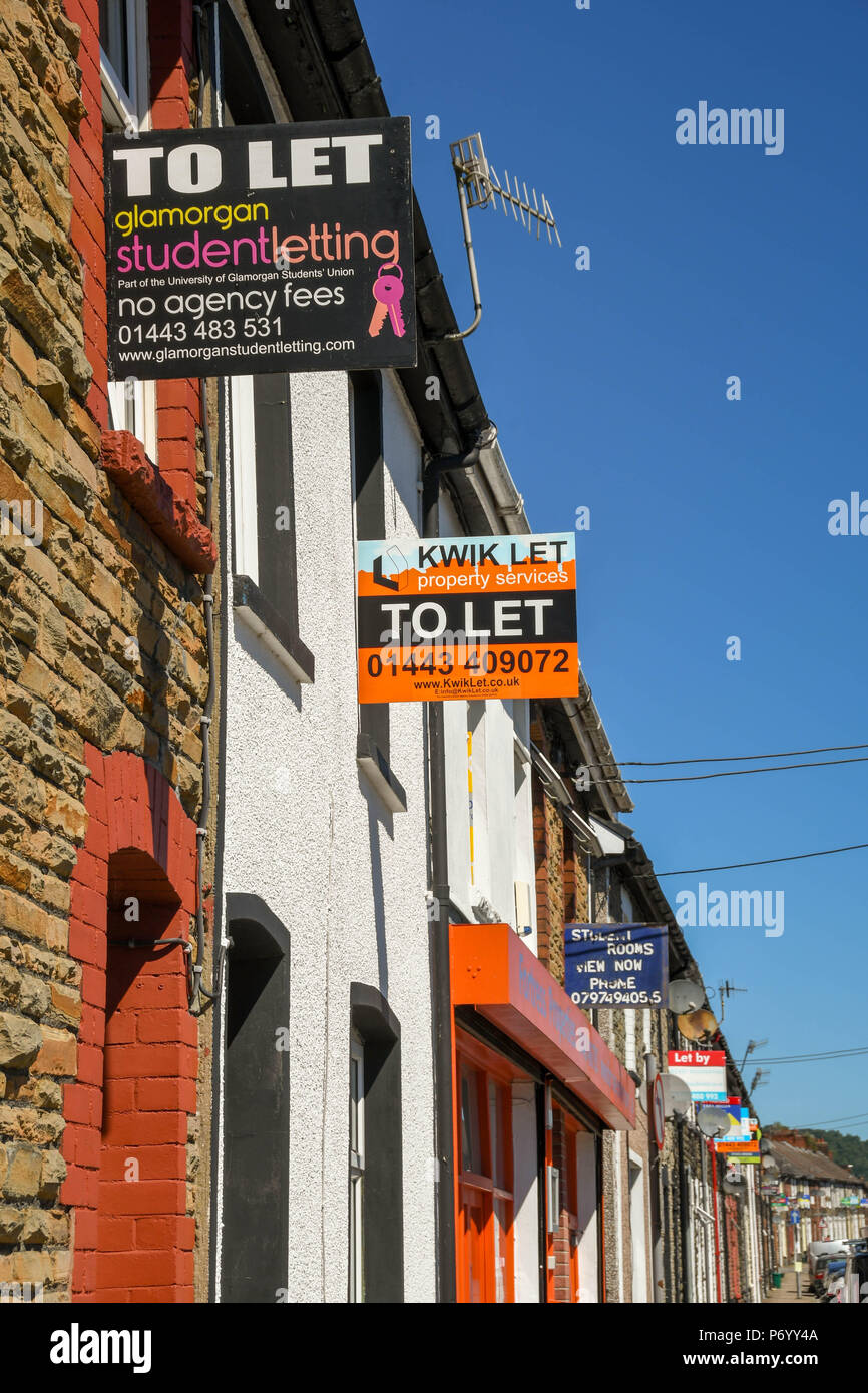 'Pour' signes sur des maisons mitoyennes à Treforest, Pontypridd, Pays de Galles, la publicité chambres à louer pour étudiants Banque D'Images