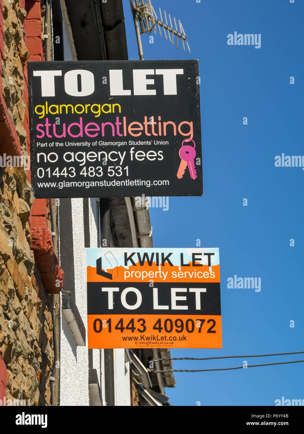 'Pour' signes sur des maisons mitoyennes à Treforest, Pontypridd, Pays de Galles, la publicité chambres à louer pour étudiants Banque D'Images