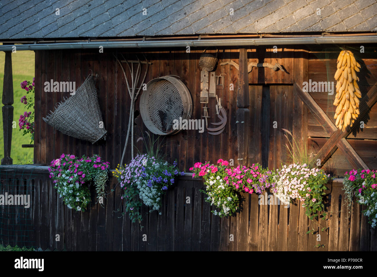 Des outils agricoles traditionnels et le séchage du maïs dans un milieu rural village slovène, le 19 juin 2018, à Bohinjska Bela, Bled, Slovénie. Banque D'Images