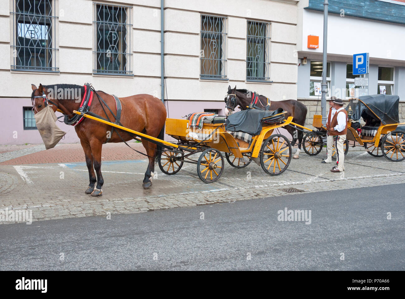 Mountain Men (Gorale) Comité permanent par leur cheval et chariot en attente pour les clients à Zakopane, Pologne, Europe. Banque D'Images