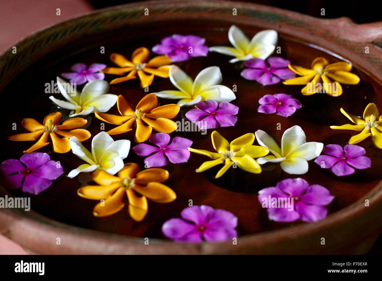 Bol avec les fleurs comme une bénédiction du matin à Siem Reap au Cambodge Banque D'Images