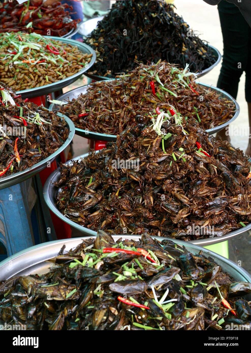 Ville d'araignées, au Cambodge. Les blattes, grillons, vers à soie, des tarentules et des grillons frits tous prêt à manger Banque D'Images