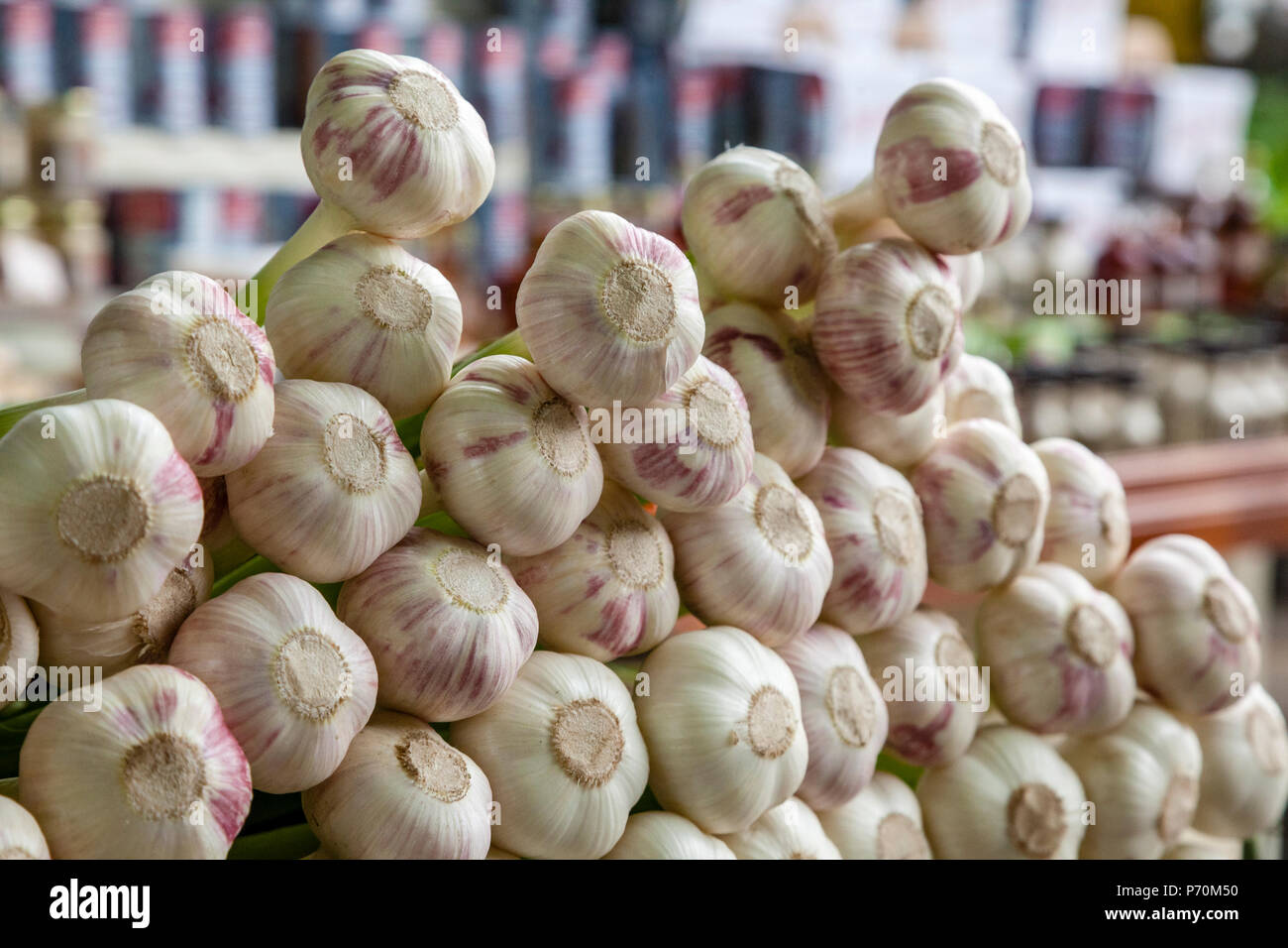 Bouquets d'ail fraîchement récolté à un marché de producteurs en plein air. Banque D'Images