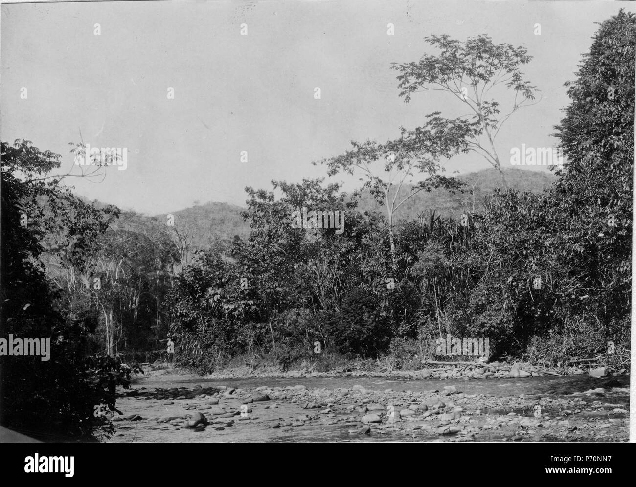 176 Parti av floden som hör jusqu'Inambaris vattensystem Rio. R. Atsahuaca biflod Chaspa, jusqu'à Rio - SMVK - 002502 Banque D'Images