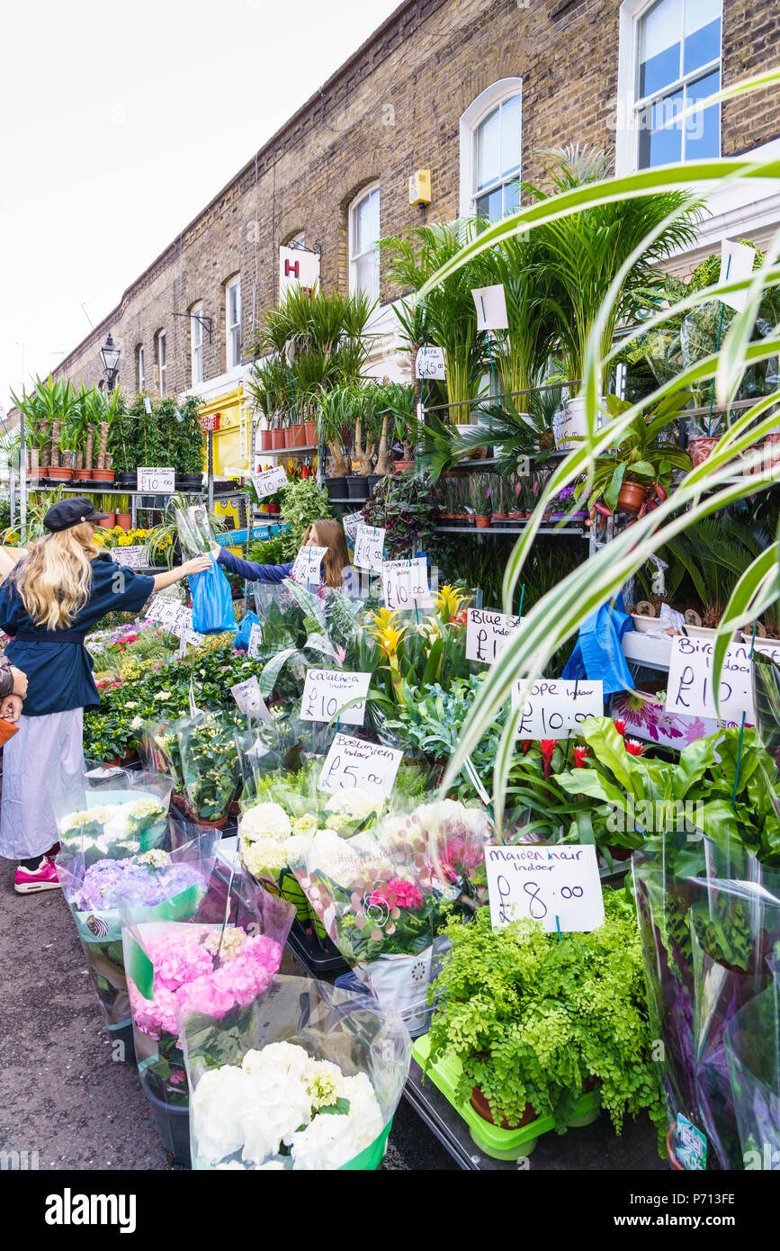 Columbia Road Flower Market, un très populaire marché dominical entre Hoxton et Bethnal Green dans l'Est de Londres, Londres, Angleterre, Royaume-Uni, Europe Banque D'Images